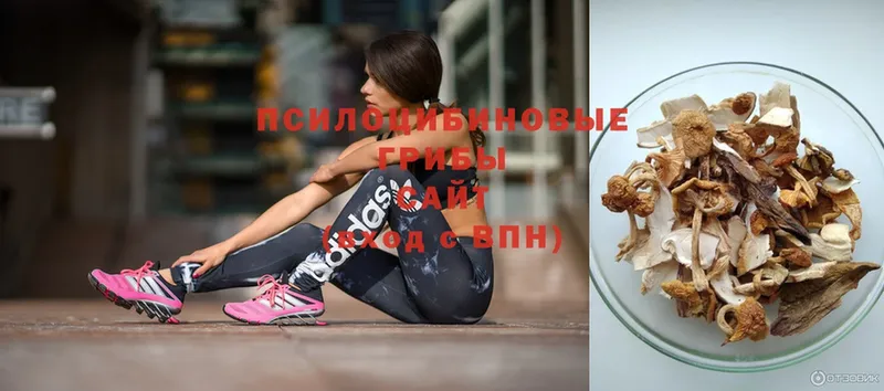 купить  цена  Лангепас  Галлюциногенные грибы Psilocybe 